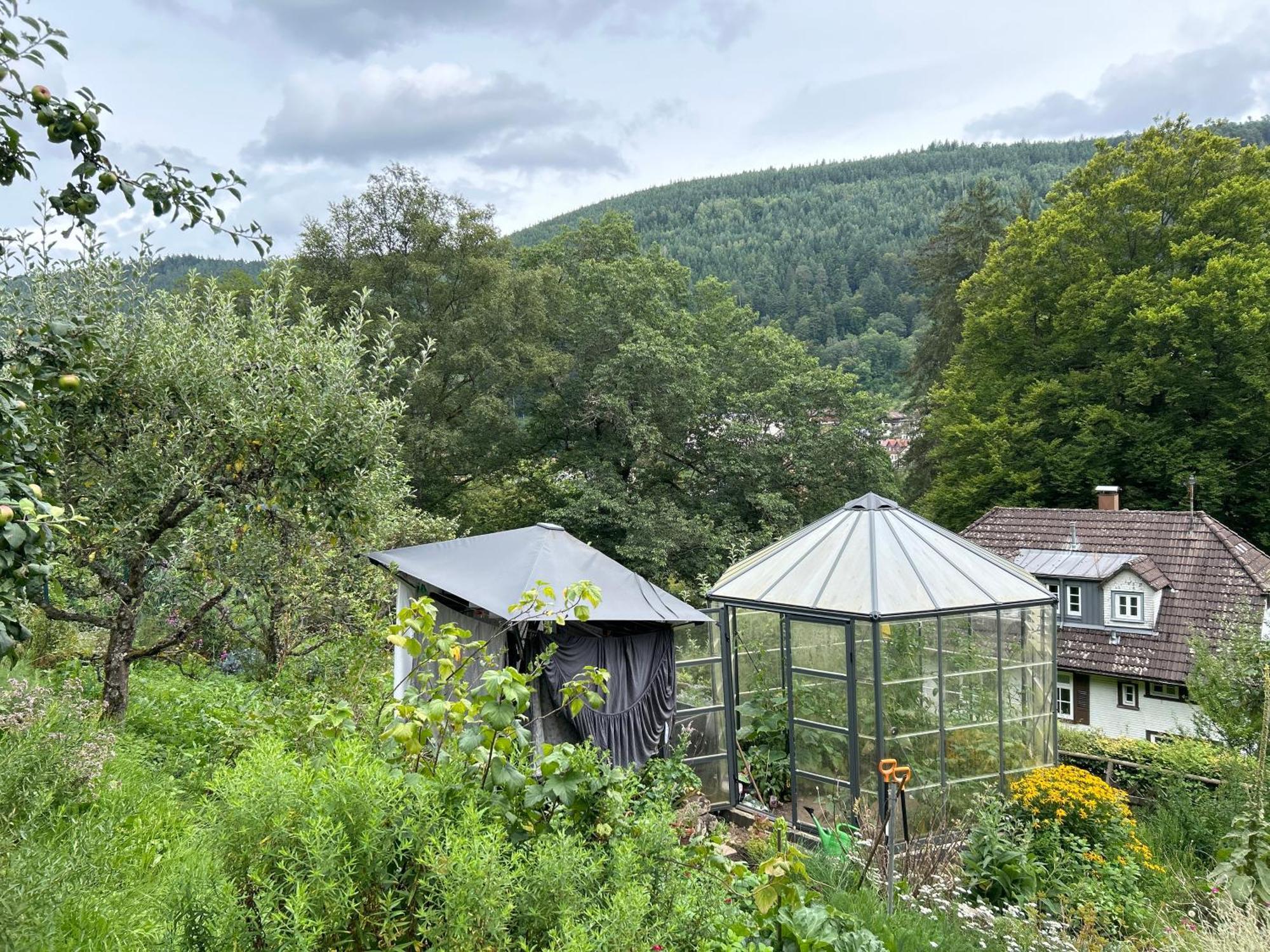Wohn-Eitel Romantik Bad Wildbad Luaran gambar
