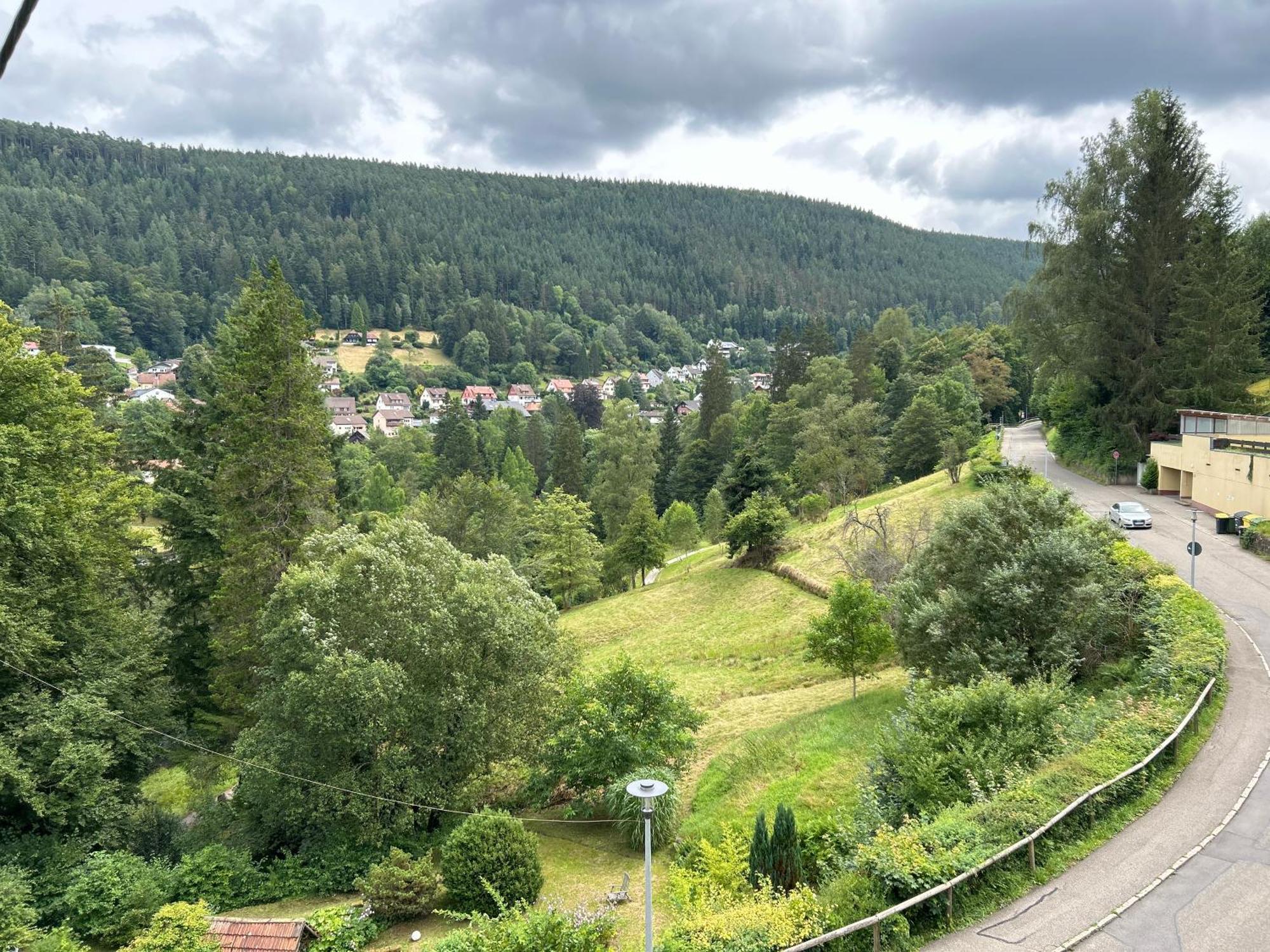 Wohn-Eitel Romantik Bad Wildbad Luaran gambar